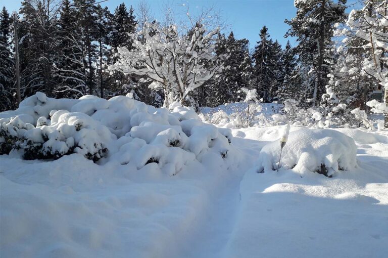 Vinterunderhåll, Barmark.